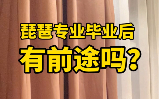 专业学琵琶有钱途吗?音乐学院琵琶毕业生都去了哪里?哔哩哔哩bilibili