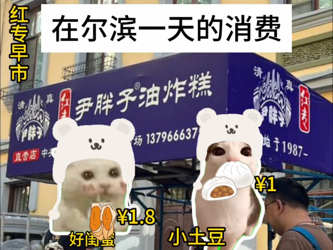 小土豆勇闯哈尔滨之《一天的花费》# 猫meme # 小土豆勇闯哈尔滨 # 哈尔滨旅游攻略 # 真实还原哔哩哔哩bilibili