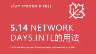 5.14 networkdays.intl的用法