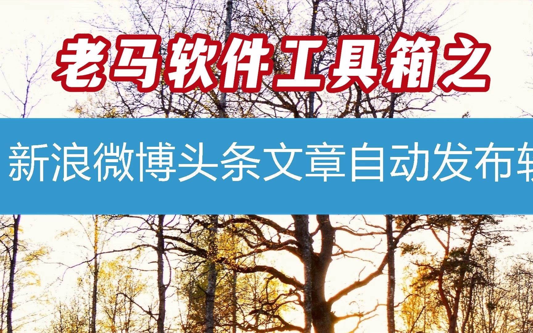 新浪微博头条文章怎么找回(新浪微博头条文章怎么找回来)