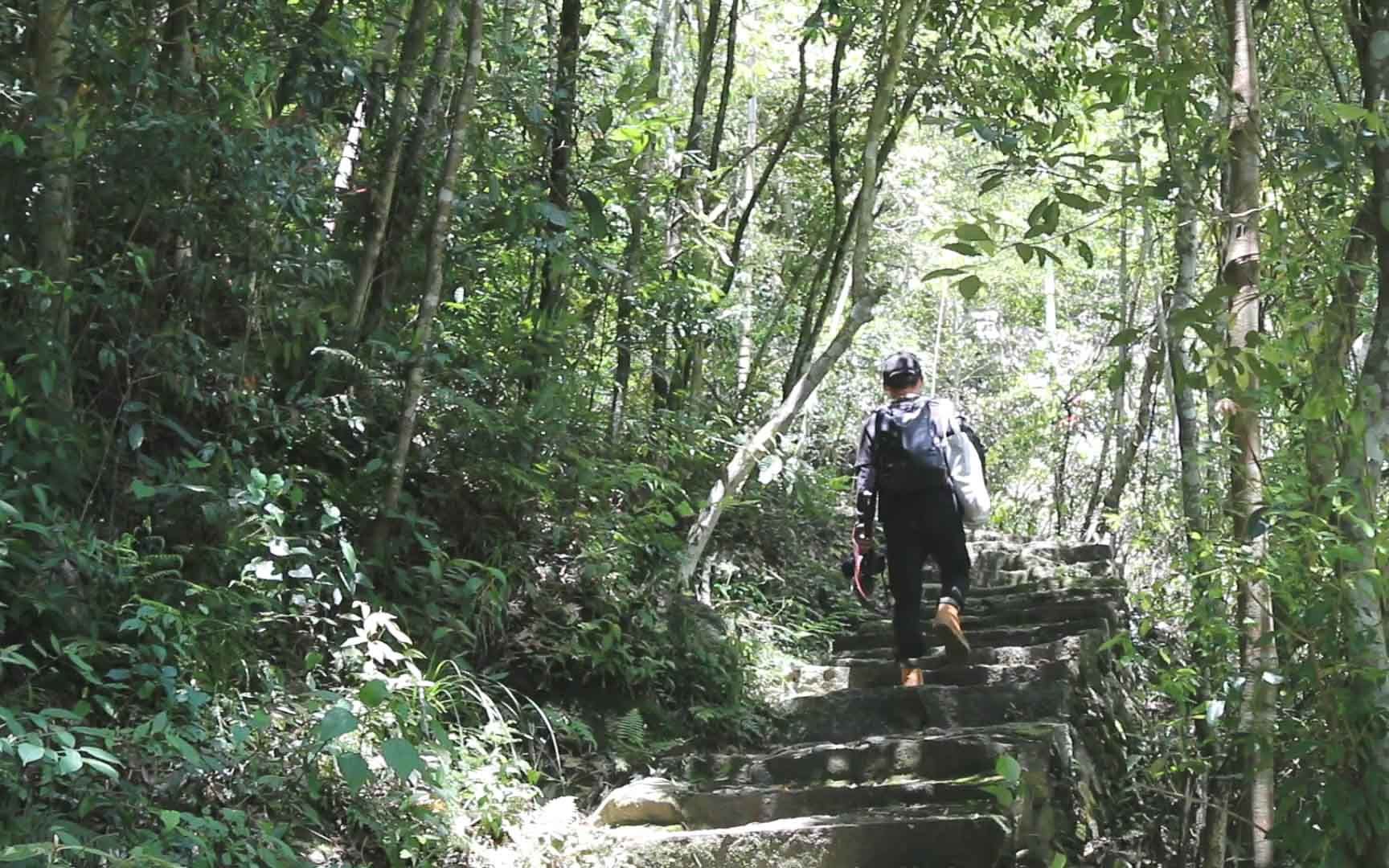 [图]福建山区隐藏一条唐朝古道，由得道高僧修建，历经1000年仍在使用