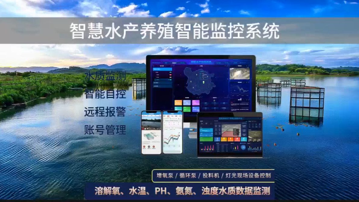 水产养殖智能监控系统,让渔业管理更高效!哔哩哔哩bilibili