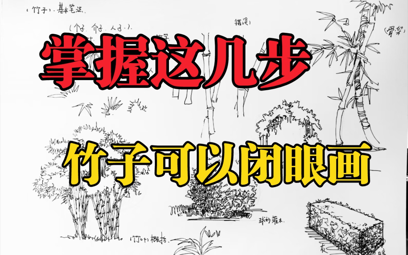 钢笔画速写从具象到概括教你画竹子,从叶片到竹竿教你如何表现,钢笔建筑速写零基础入门教学哔哩哔哩bilibili