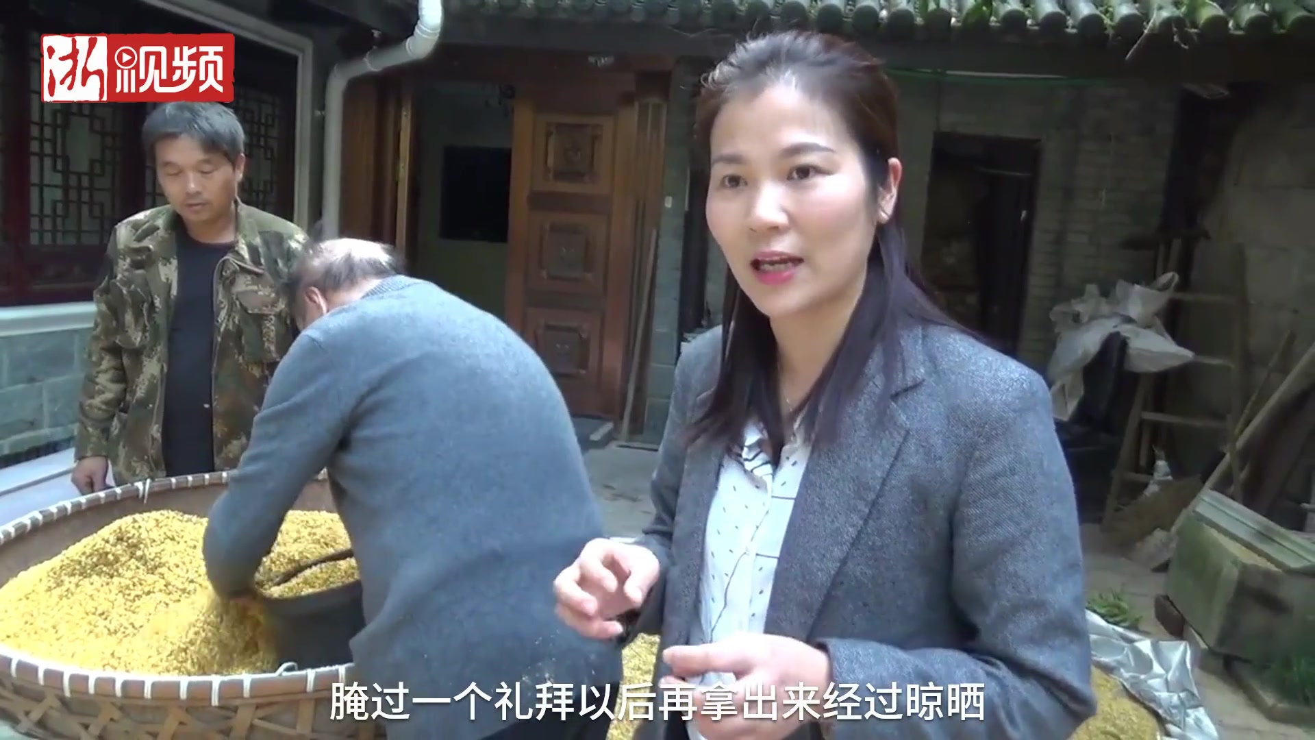 上满觉陇的桂花开打啦！杭州甜甜的糖桂花你尝过吗？
