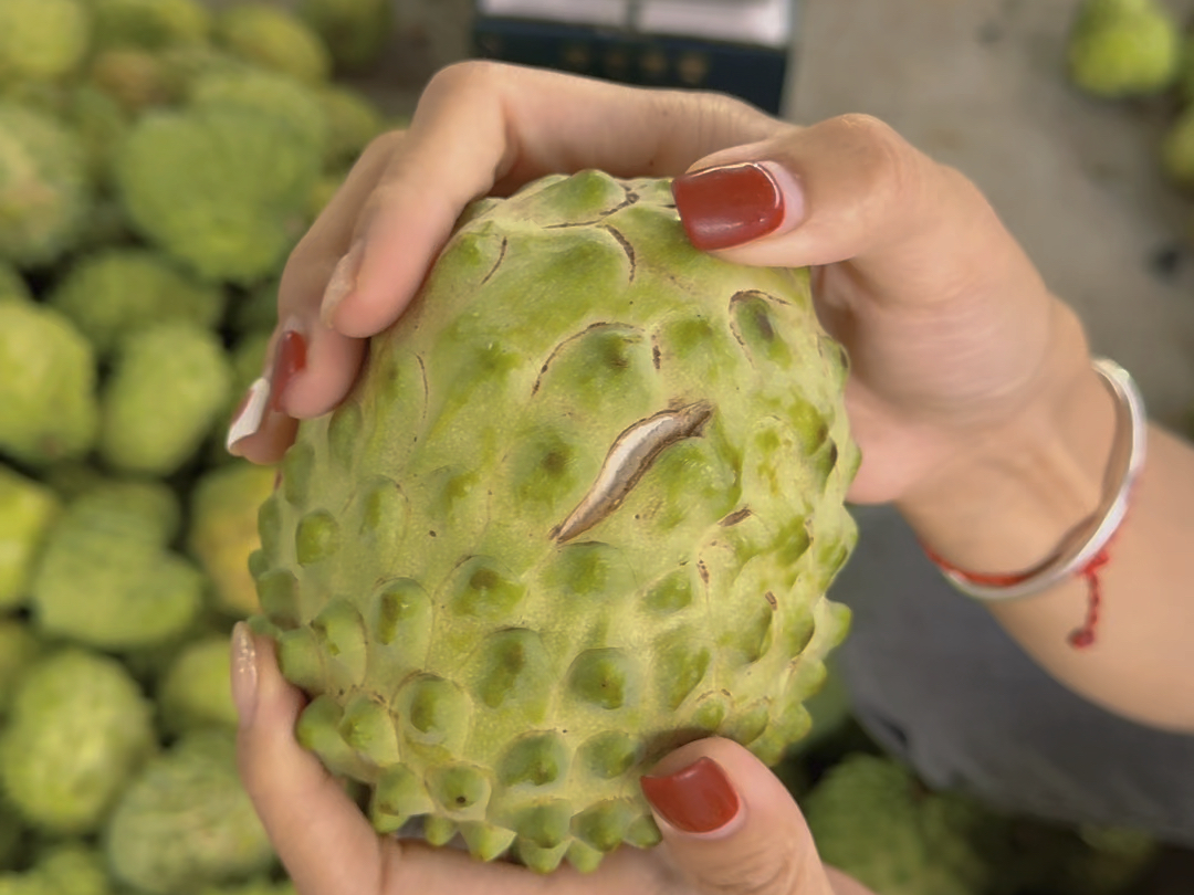 现摘现发释迦果