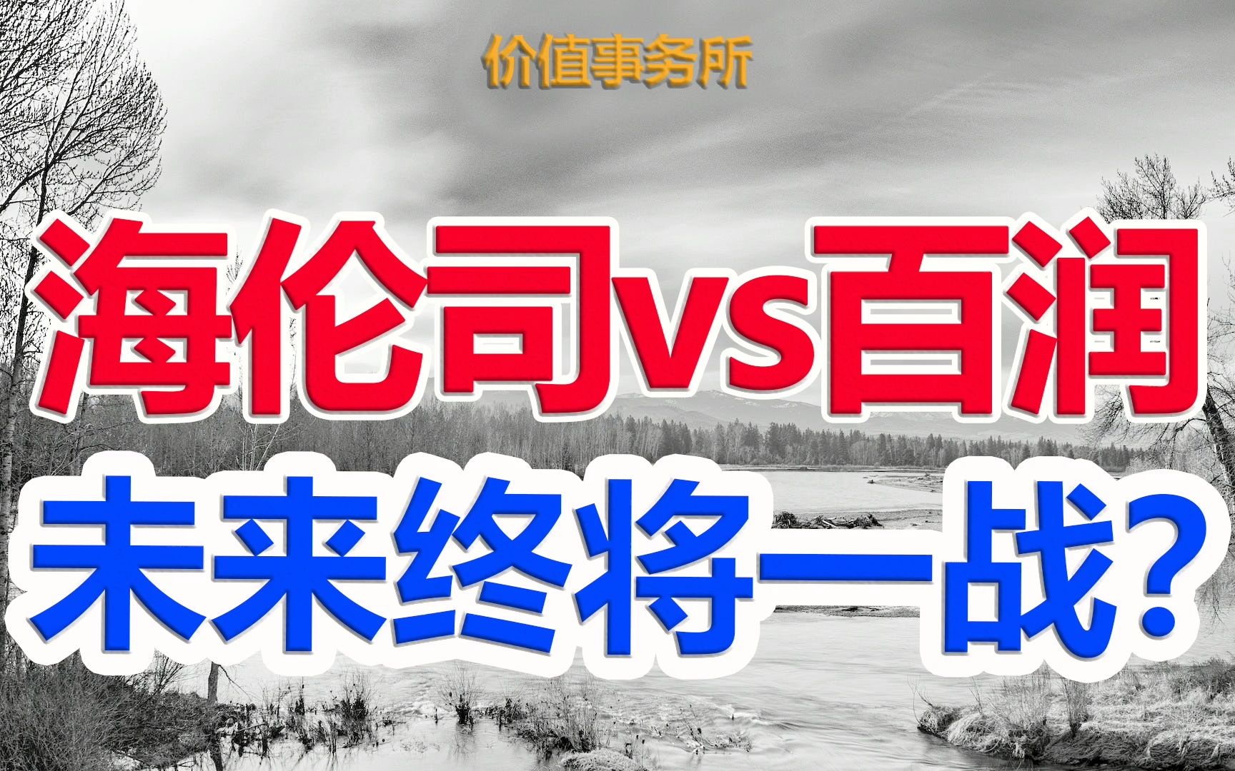 【资本市场里的巨无霸都是如何诞生的?这2个公司说明了一切】|价值事务所哔哩哔哩bilibili