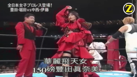 Ajw1990 06 17 丰田真奈美vs 崛田祐美子 哔哩哔哩 つロ干杯 Bilibili