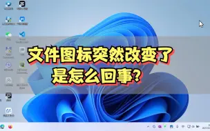 Download Video: 文件图标突然改变了是怎么回事？