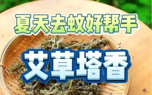 Download Video: 艾草的好处真的太多了，用手搓一搓，做个艾草塔香吧。#吉香悟#香道#熏香#艾草