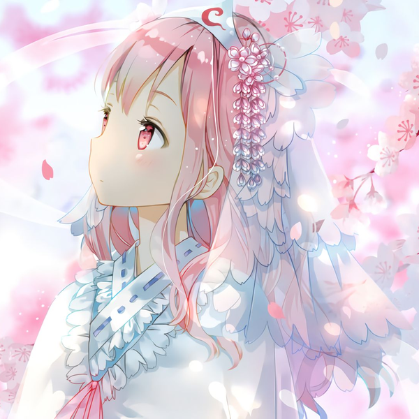 中日歌词】Halozy/ほたる- いつか降る雨、桜(さくらさくら