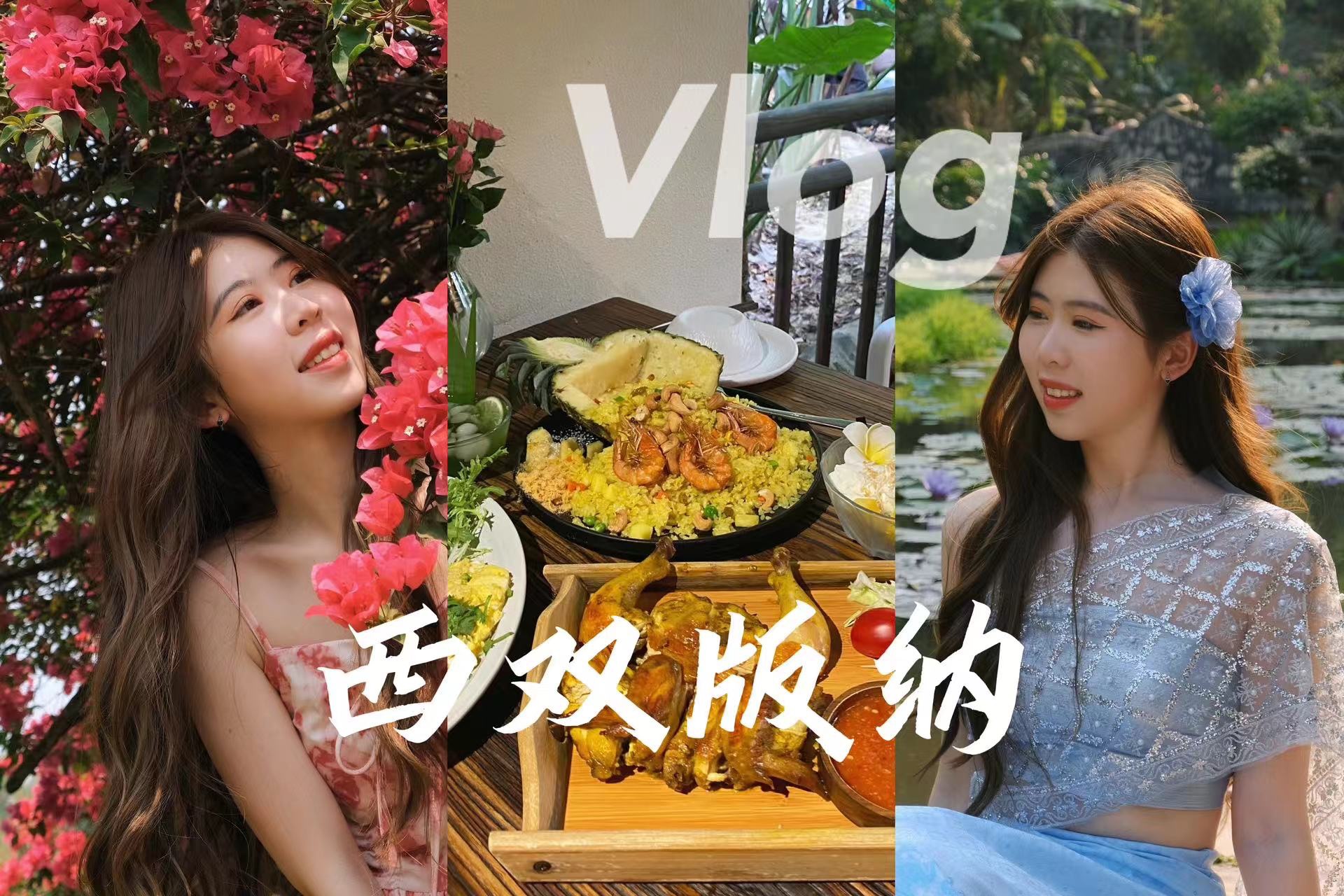 西双版纳vlog | 曼听御花园 | 春武里 | 星光夜市 | 植物园 | 傣族园 | 婉泰哔哩哔哩bilibili