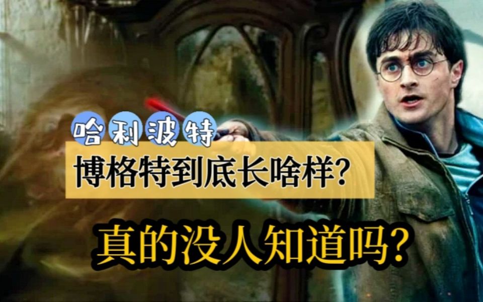 《哈利ⷦ𓢧‰𙣀‹|博格特到底长啥样?真的没人知道吗?哔哩哔哩bilibili