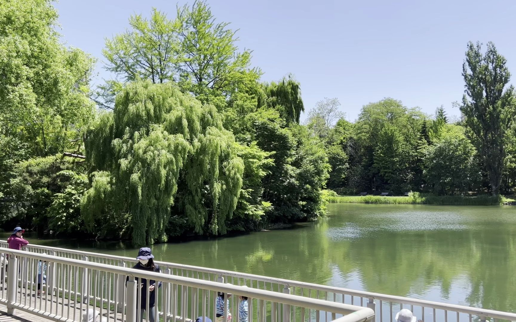 【超清日本】【北海道】【4K HDR】2023 札幌市 札幌的初夏徒步之旅哔哩哔哩bilibili