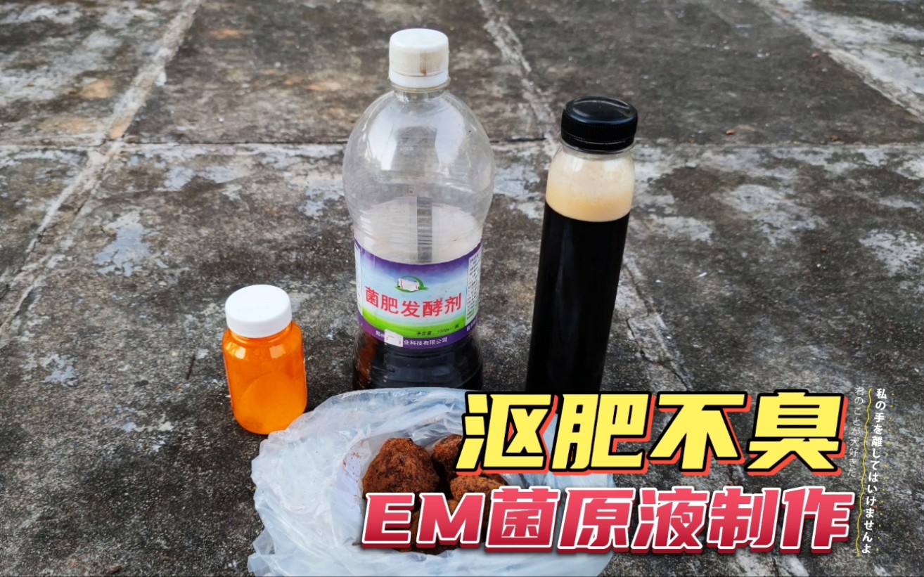 沤肥不臭的秘密,家庭自制“EM菌原液”,省钱、无异味、不长虫哔哩哔哩bilibili