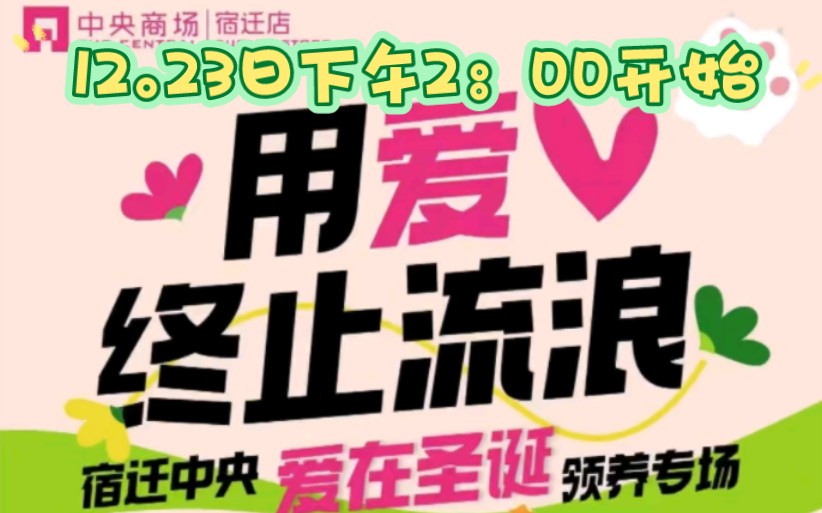 【宿迁宠物免费领养圣诞专场】2023.12.23中央商城下午2:00开始哔哩哔哩bilibili