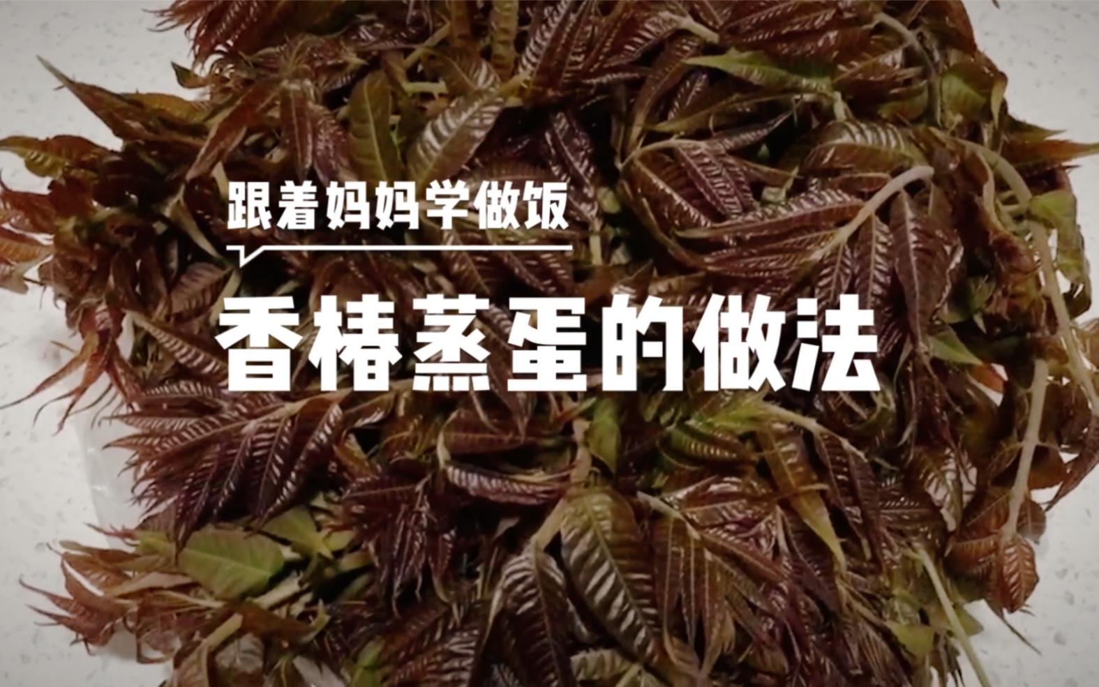 椿芽蒸蛋窍门图片