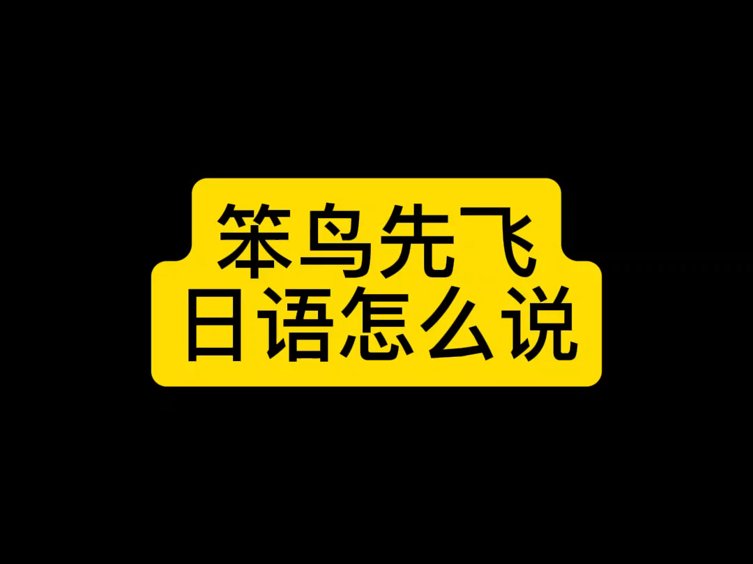 笨鸟先飞用日语怎么说哔哩哔哩bilibili