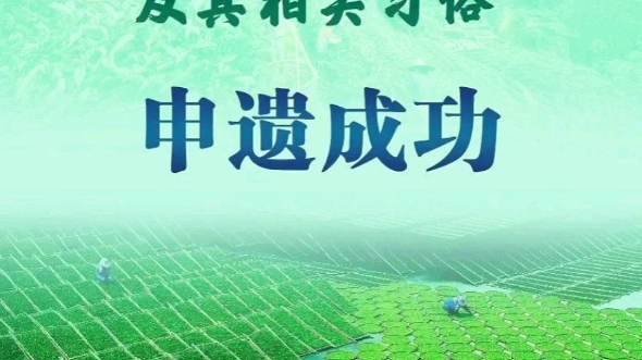 [图]我国申报的“中国传统制茶技艺及其相关习俗”联合国教科文组织保护非物质文化遗产政府间委员会通过评审，列入联合国教科文组织人类非物质文化遗产代表作名录