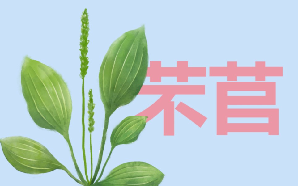 [图]高考必背 | 《芣苢》（《诗经·周南·芣苢》）讲解