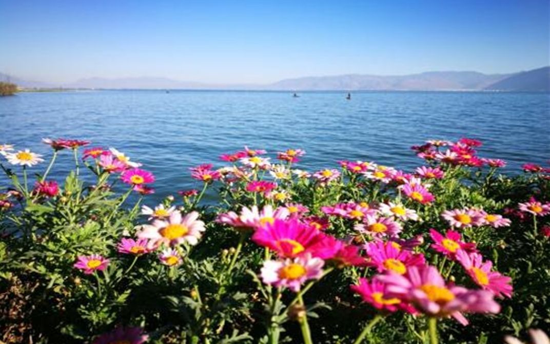 在彩云之南与下关风,上关花,苍山雪,洱海月,来一次浪漫邂逅!