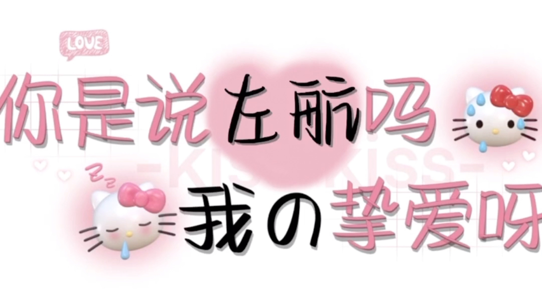左航我的挚爱
