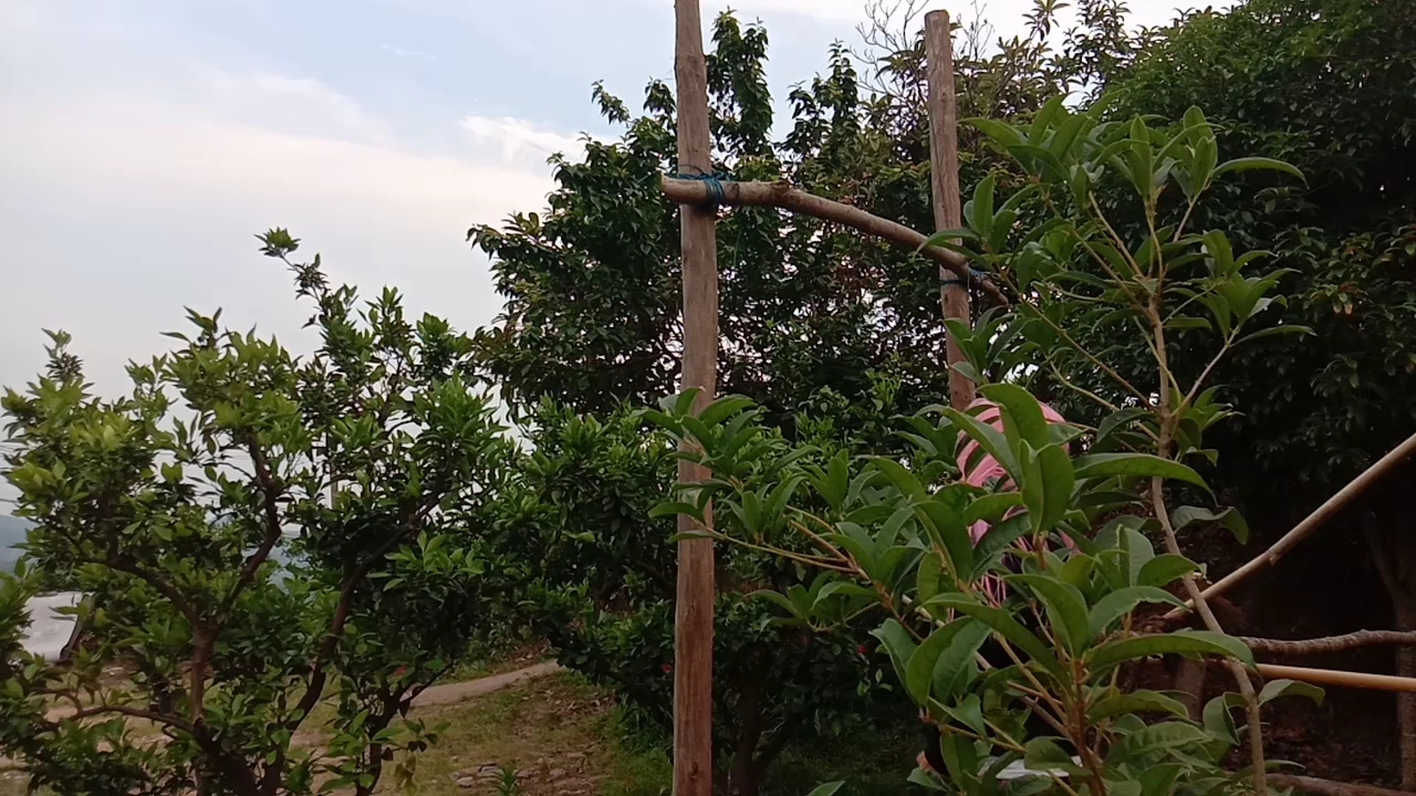 苦于没有器材,美少女为健身自制单杠