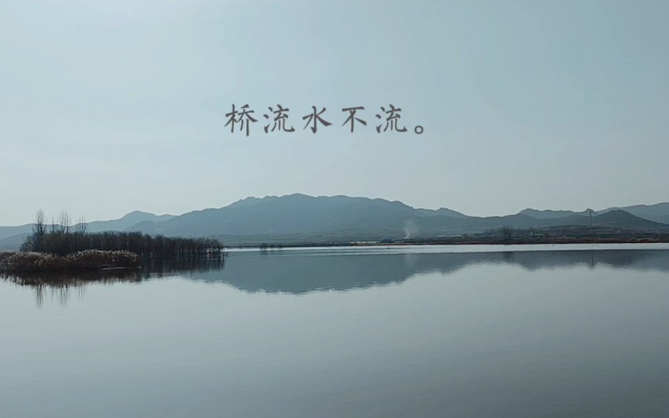 禅诗:「 桥流水不流 」哔哩哔哩bilibili