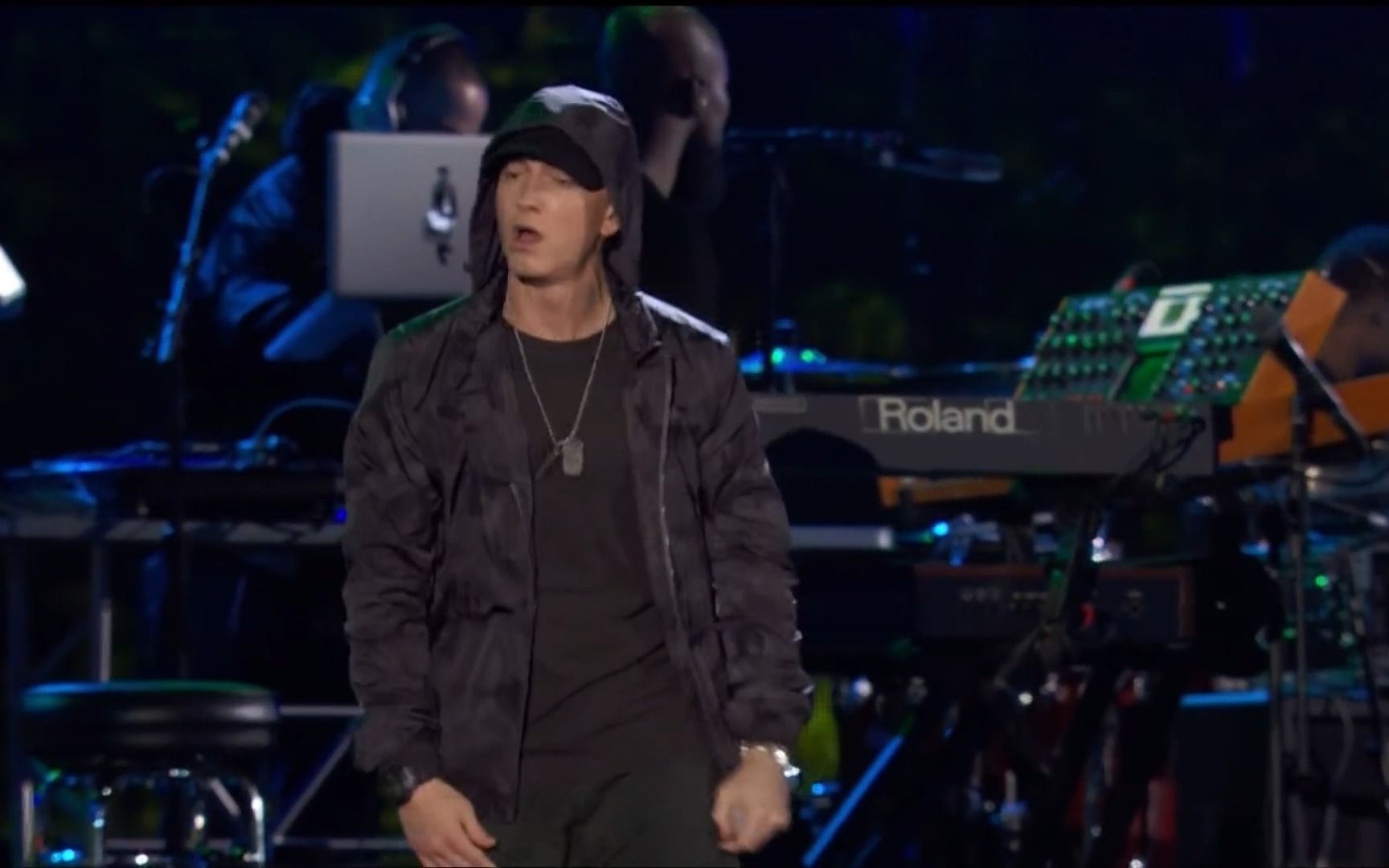 [图]Eminem - The Monster, Guts Over Fear, Not Afraid, Lose Yourself 2014年音乐会