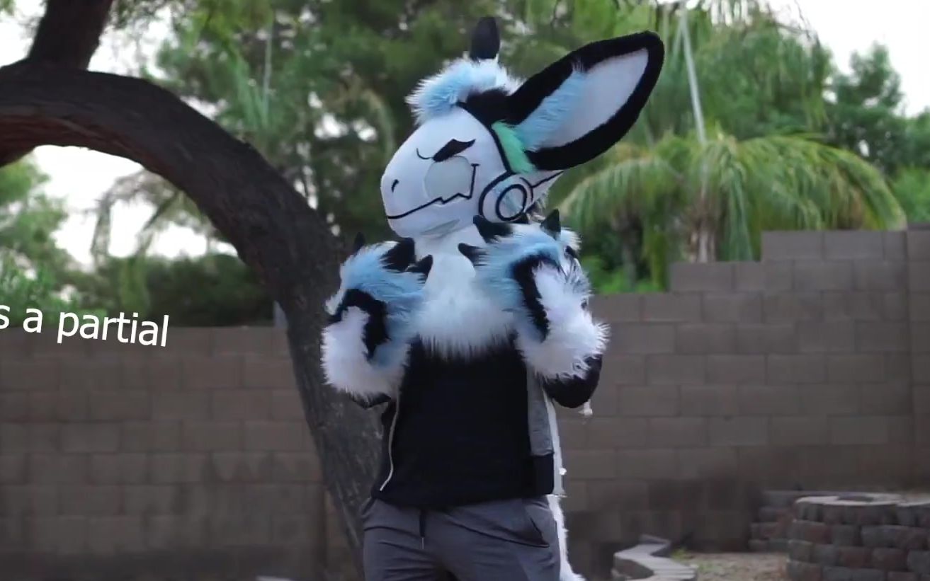 不一样的思路电子兽protogen兽装展示