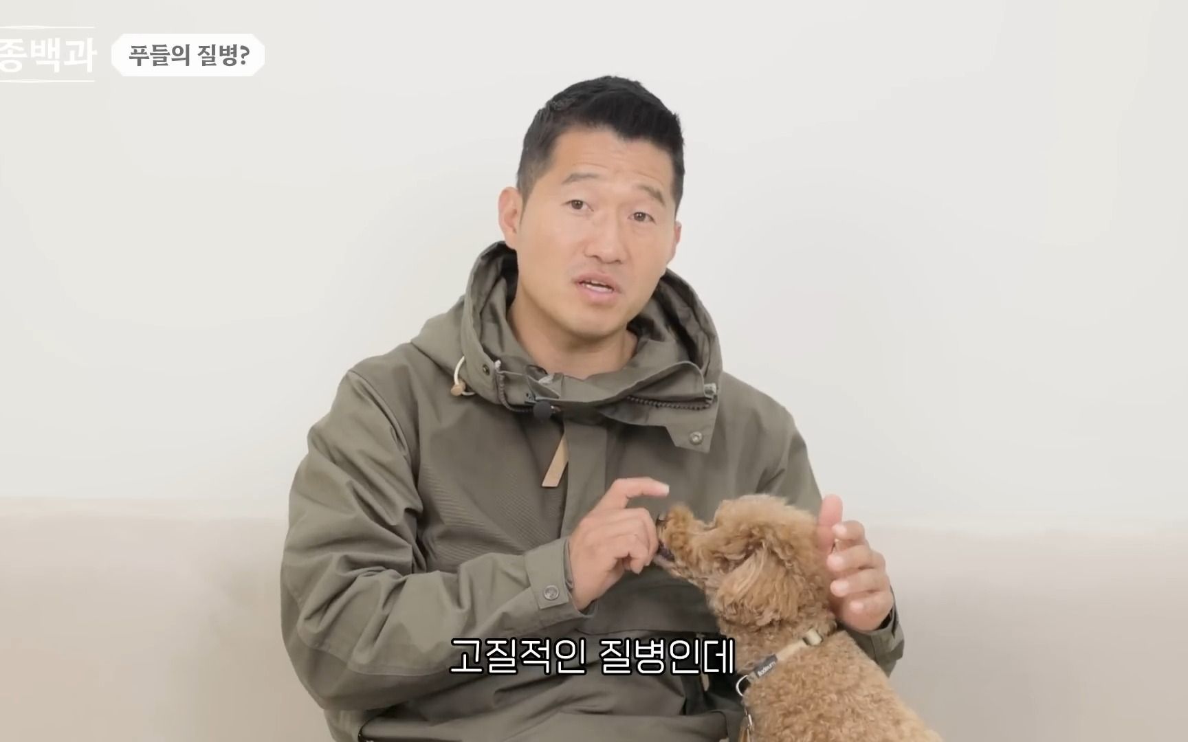 姜亨旭 狗狗百科vlog——容易有分离焦虑症的贵宾犬 哔哩哔哩