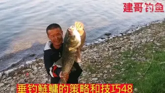 Download Video: 深夏垂钓鲢鳙，饵料选择对路了，一切都是杠杠的。