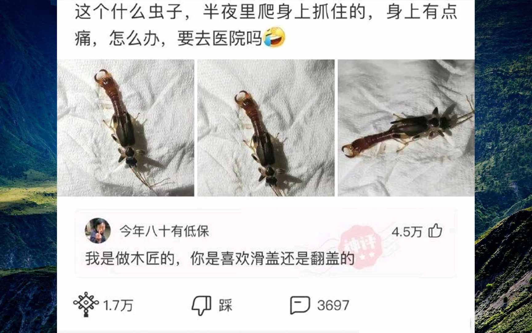 [图]网上那些有趣的沙雕图第二百二十五期