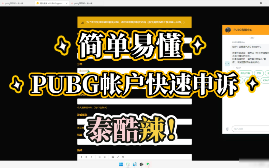 【PUBG】快速申诉解决账户永久封禁!哔哩哔哩bilibiliPUBG