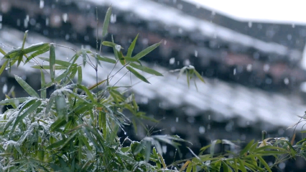 [图]B5～春暮花落雨（伴奏）