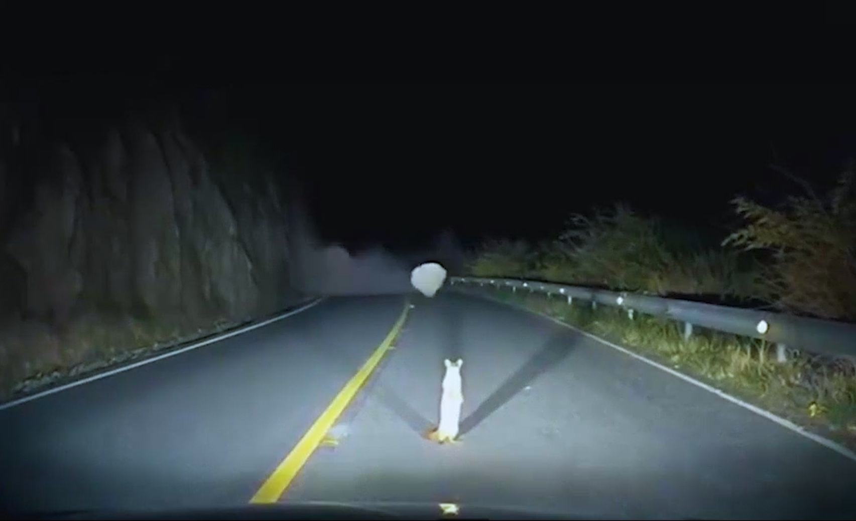 黄皮子挡路，救我一命