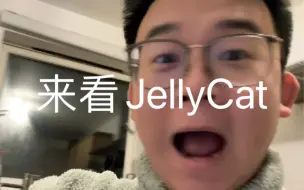 下载视频: 收到礼物了 JellyCat