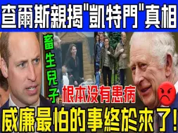 Download Video: 炸裂！威廉最怕的事来了！查尔斯正午亲曝“凯特门”真相！卡米拉都被吓傻