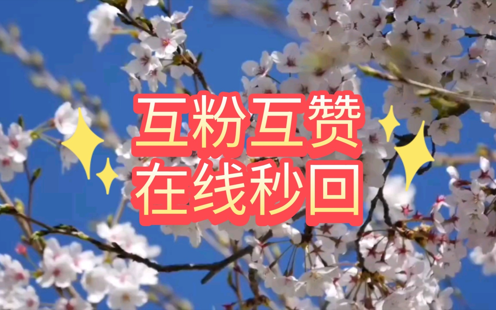 互粉互赞,新人互帮互助冲击电磁力三级呀, 冲冲冲_哔哩哔哩_bilibili