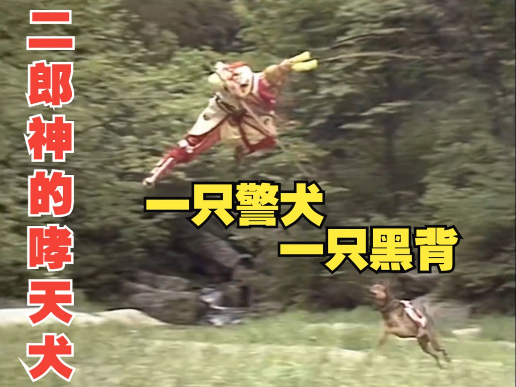 二郎神擒拿孙悟空,追赶的哮天犬,一只警犬,一只黑背