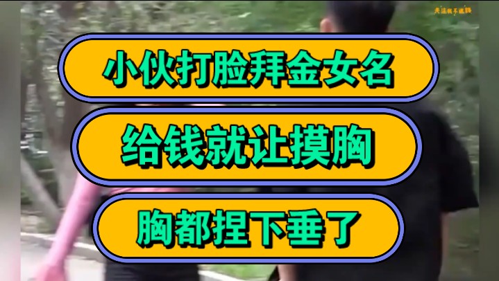 小伙打脸拜金女名,给钱就让摸胸,胸都捏下垂了!哔哩哔哩bilibili