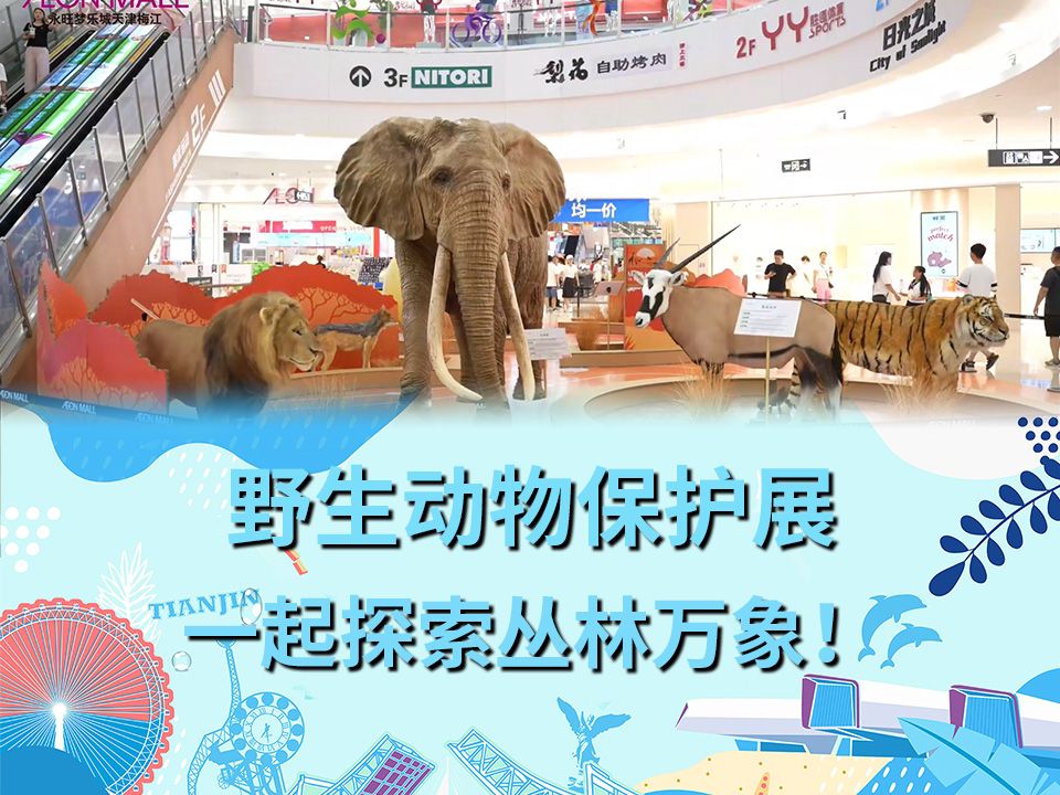 梅江永旺梦乐城携手印度野生动物保护慈善组织(wti)联袂呈现华北地区