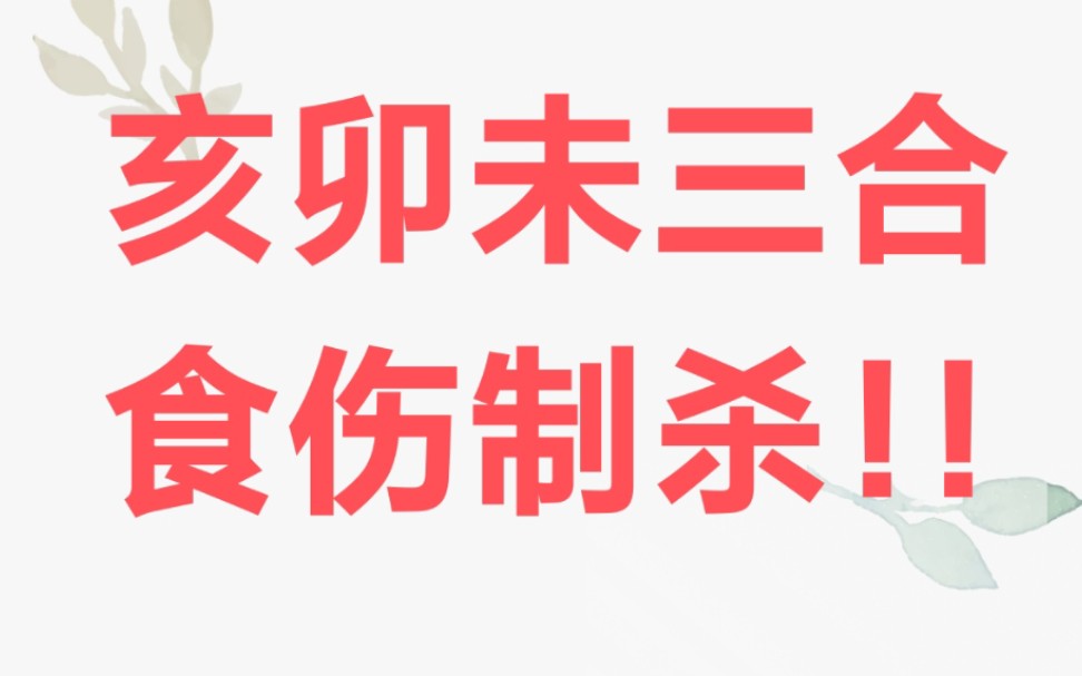 亥卯未三合食伤制杀!!!大运扶起七杀掌权!!!哔哩哔哩bilibili