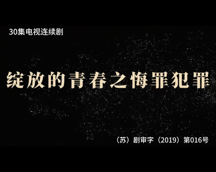 绽放的青春之悔罪 30集