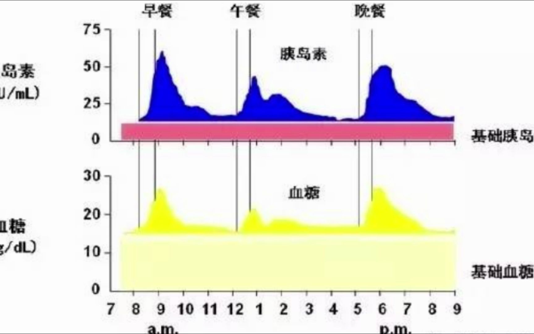 人体正常生理曲线图片