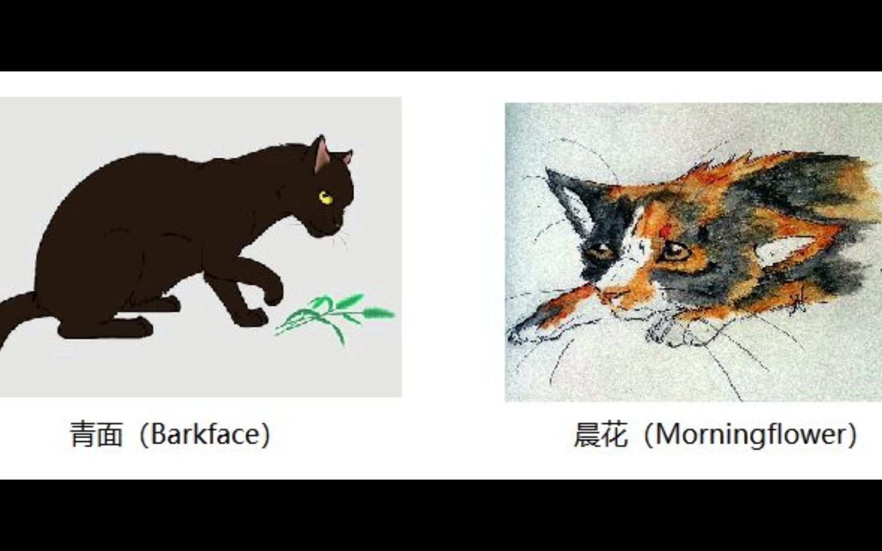 [图]猫武士那些逝去的猫——风族篇（愿星族守护众生）