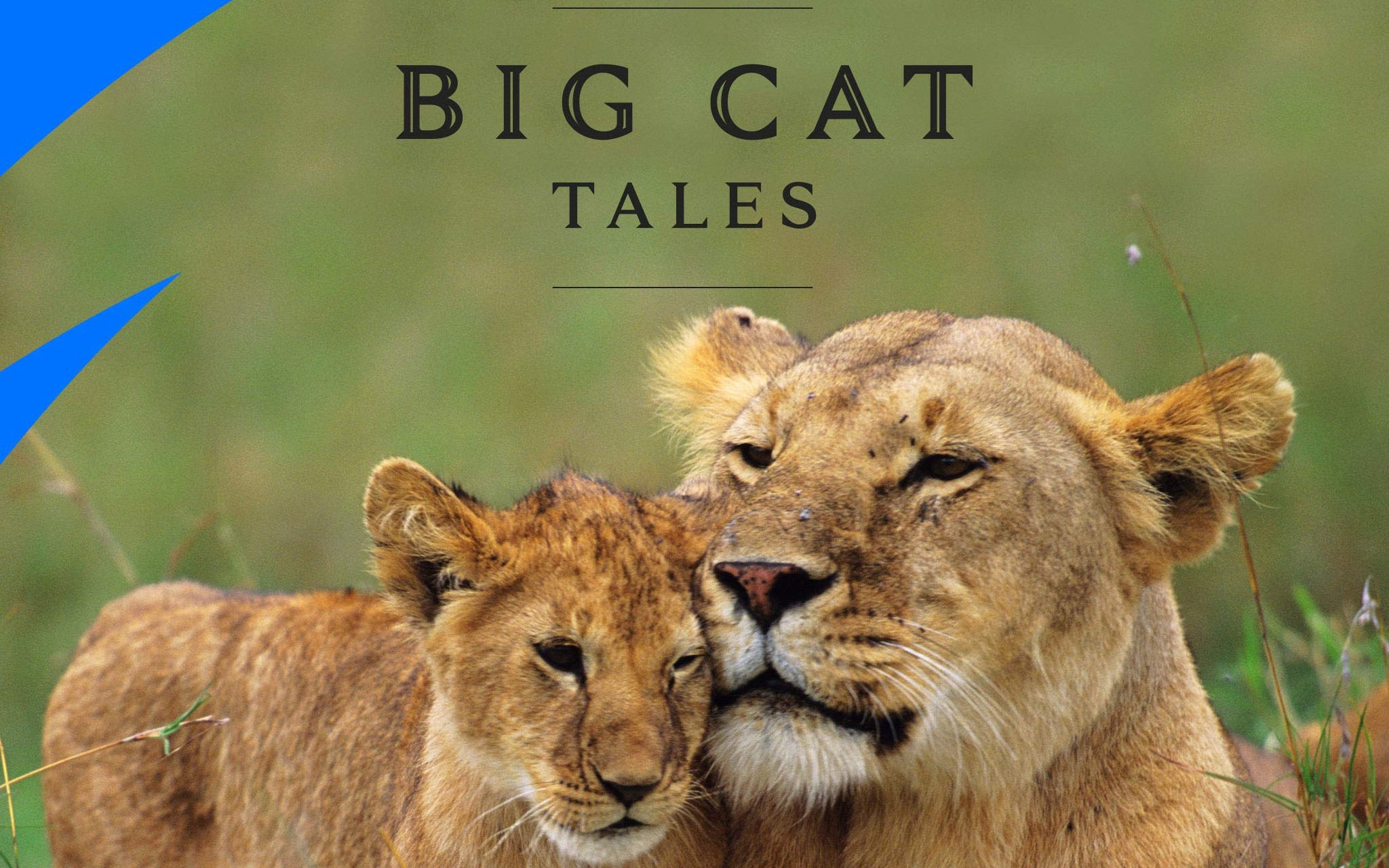 [图]大猫传奇 第一季全五集 Big Cat Tales