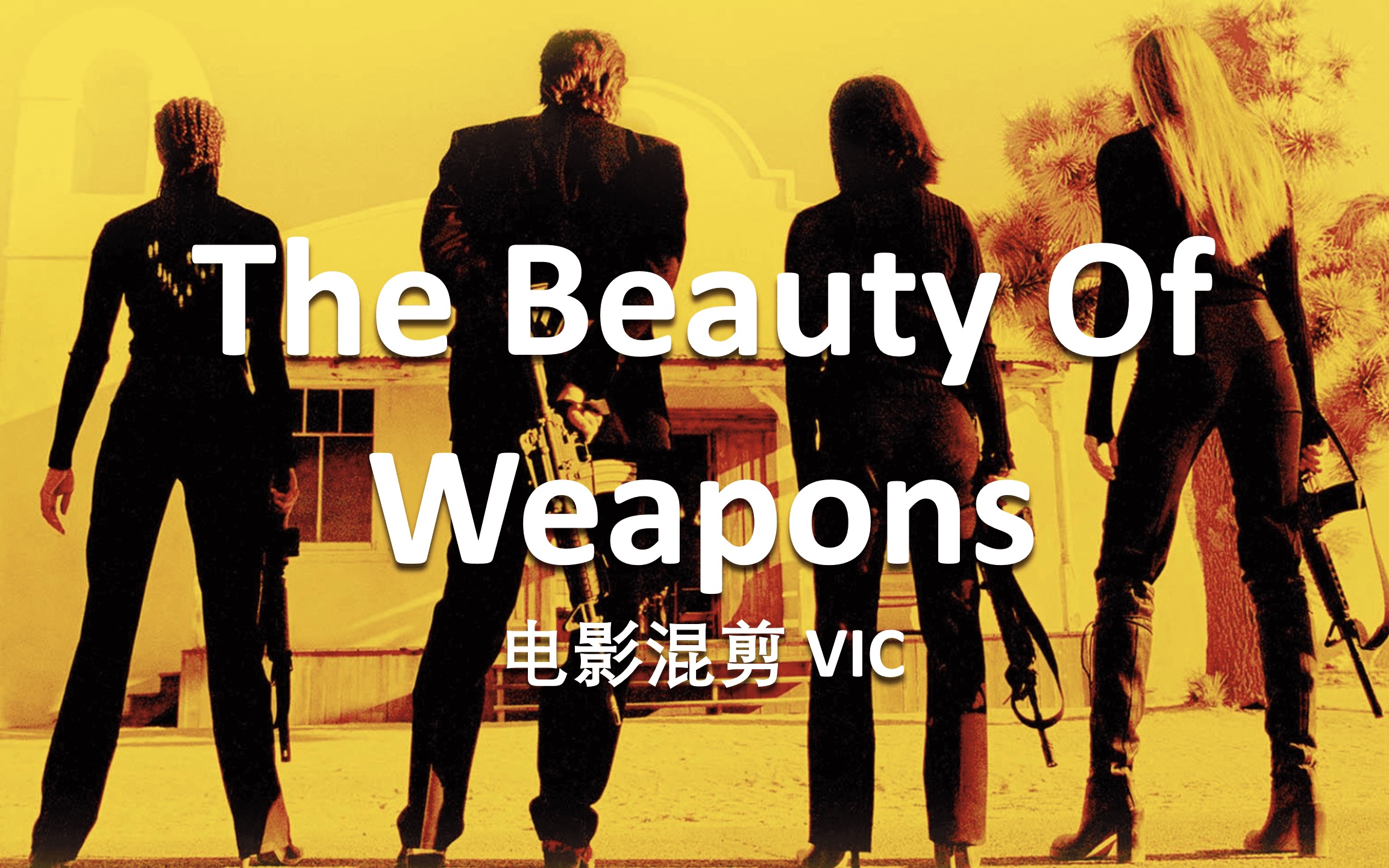 [图]Vic｜The Beauty Of Weapons｜23部电影2分钟超燃武器混剪｜踩点