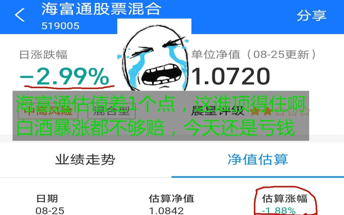 8.25基金收益—900,白酒今天暴涨也亏钱了,诺安/海富通 什么时候能站起来!哔哩哔哩bilibili