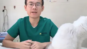 Download Video: 被猫咬了到底要不要打狂犬疫苗，都在这里了？