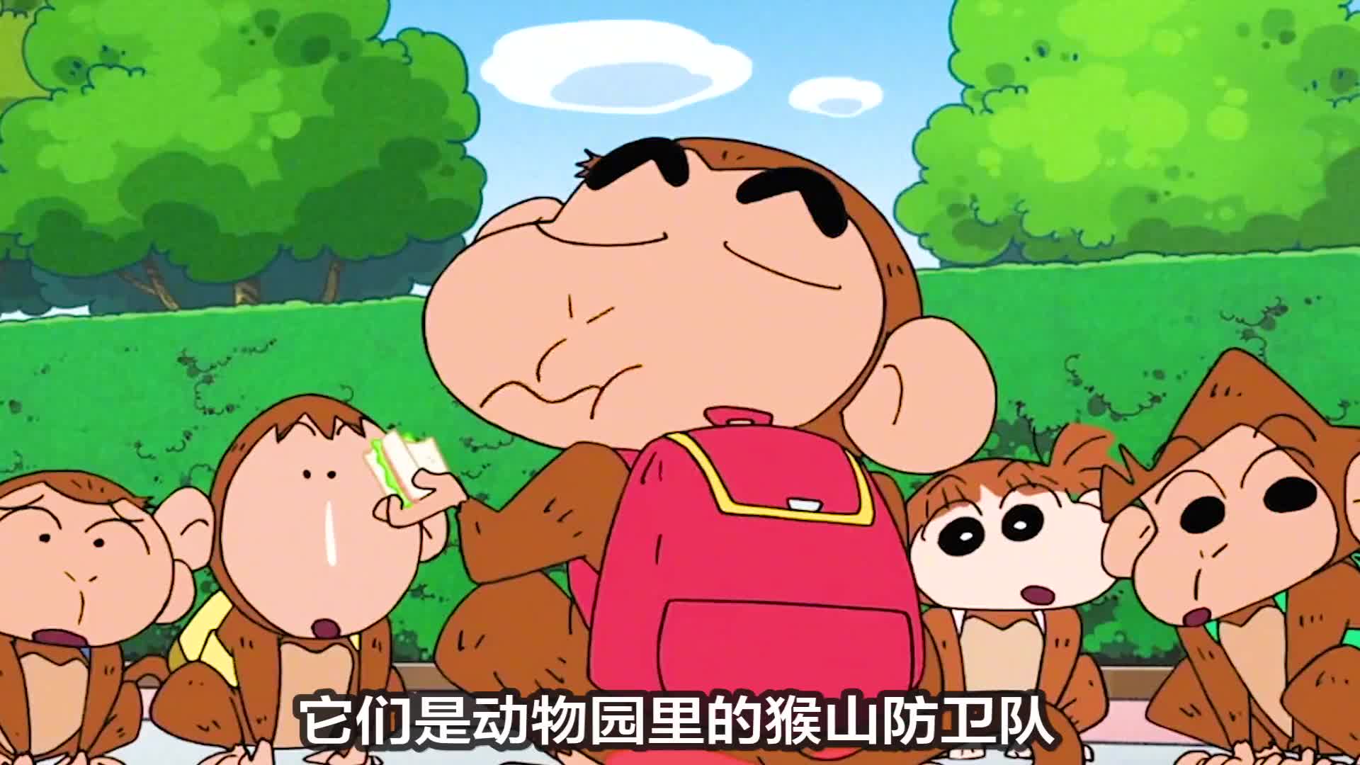 蜡笔小新:长得一模一样的猴子,妮妮受到侮辱,风间瞬间破防